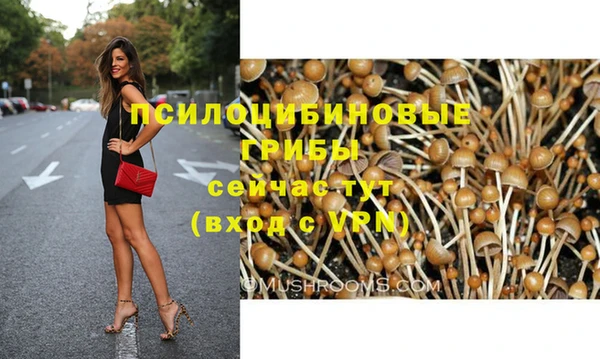 apvp Арсеньев