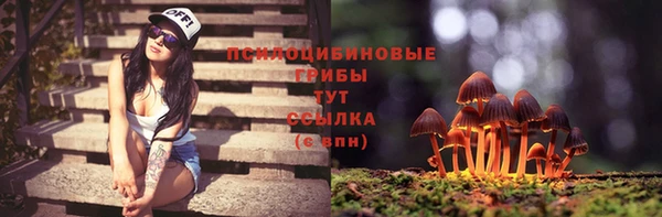 кокс Армянск